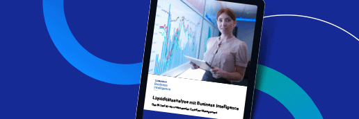 E-Book: BI Liquiditätsmanagement