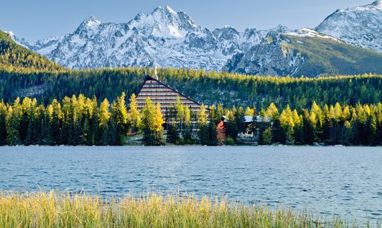 Slowakei startet öffentliche Konsultation zur verpflichtenden E-Rechnungsstellung (wirksam 2027)